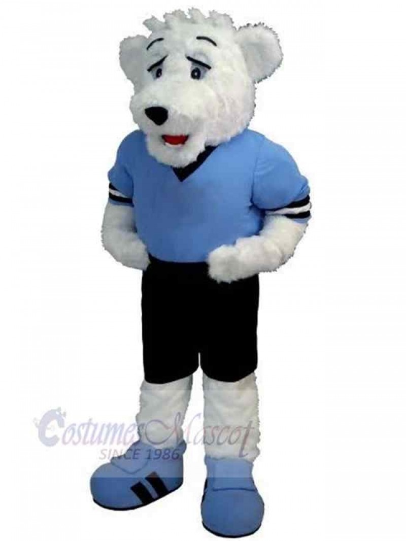 Bear mascot costume