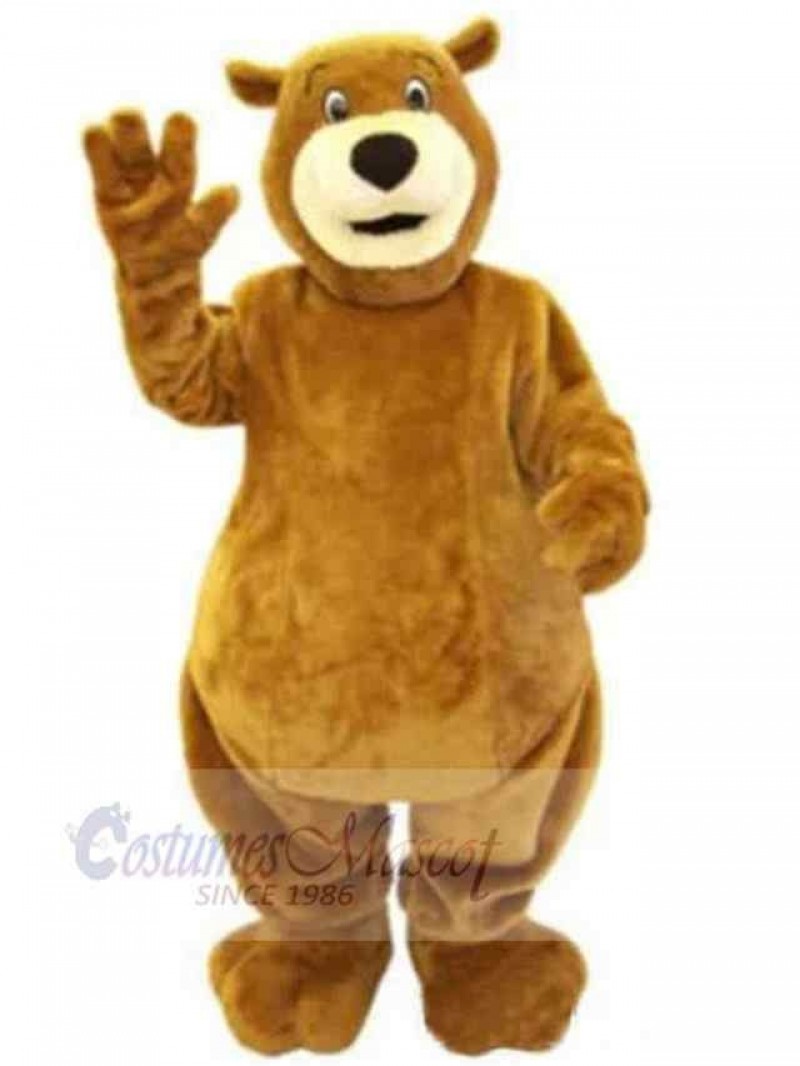 Bear mascot costume