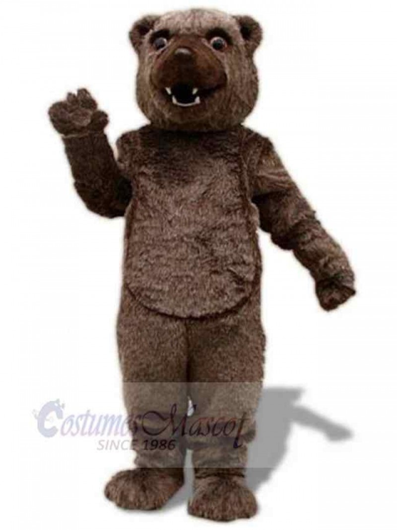 Bear mascot costume
