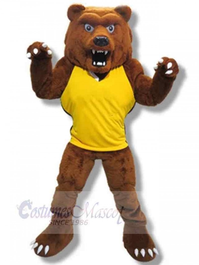 Bear mascot costume