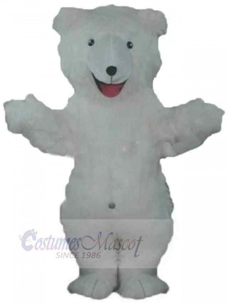Bear mascot costume