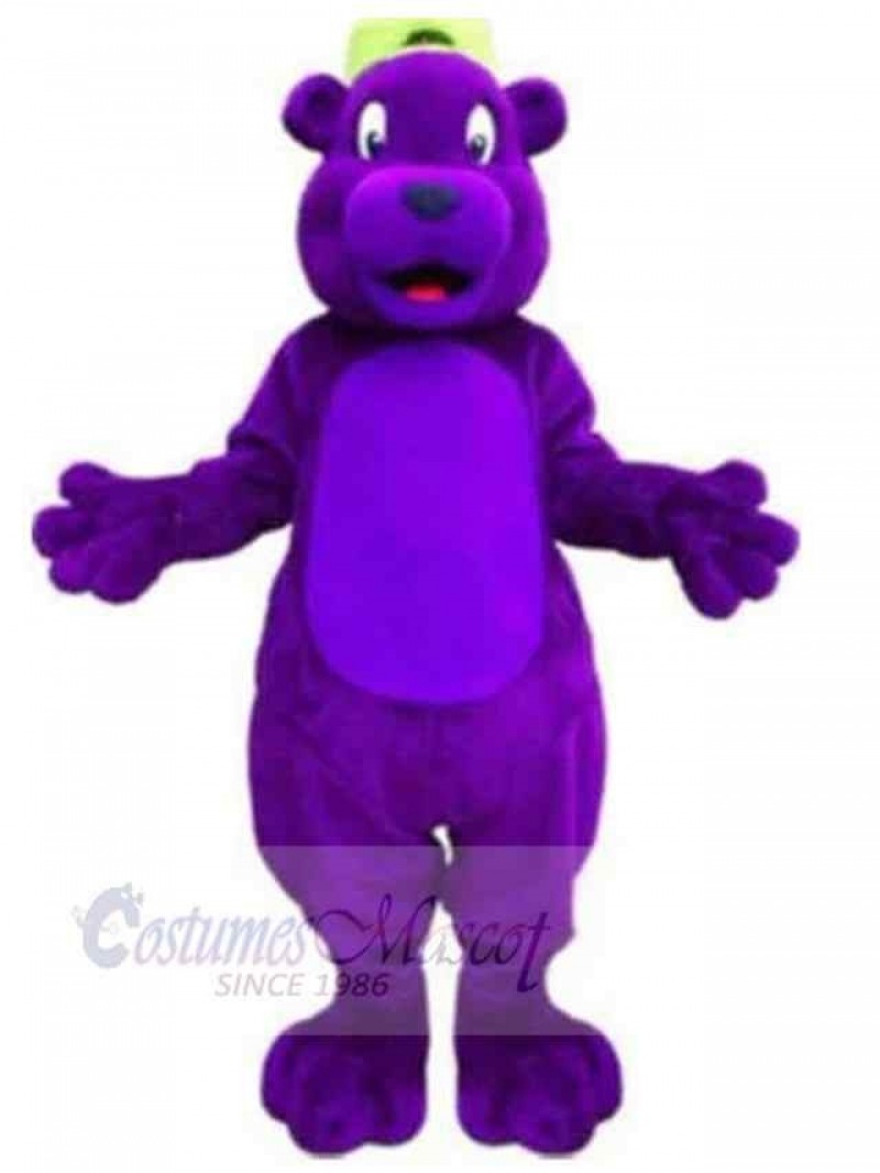 Bear mascot costume