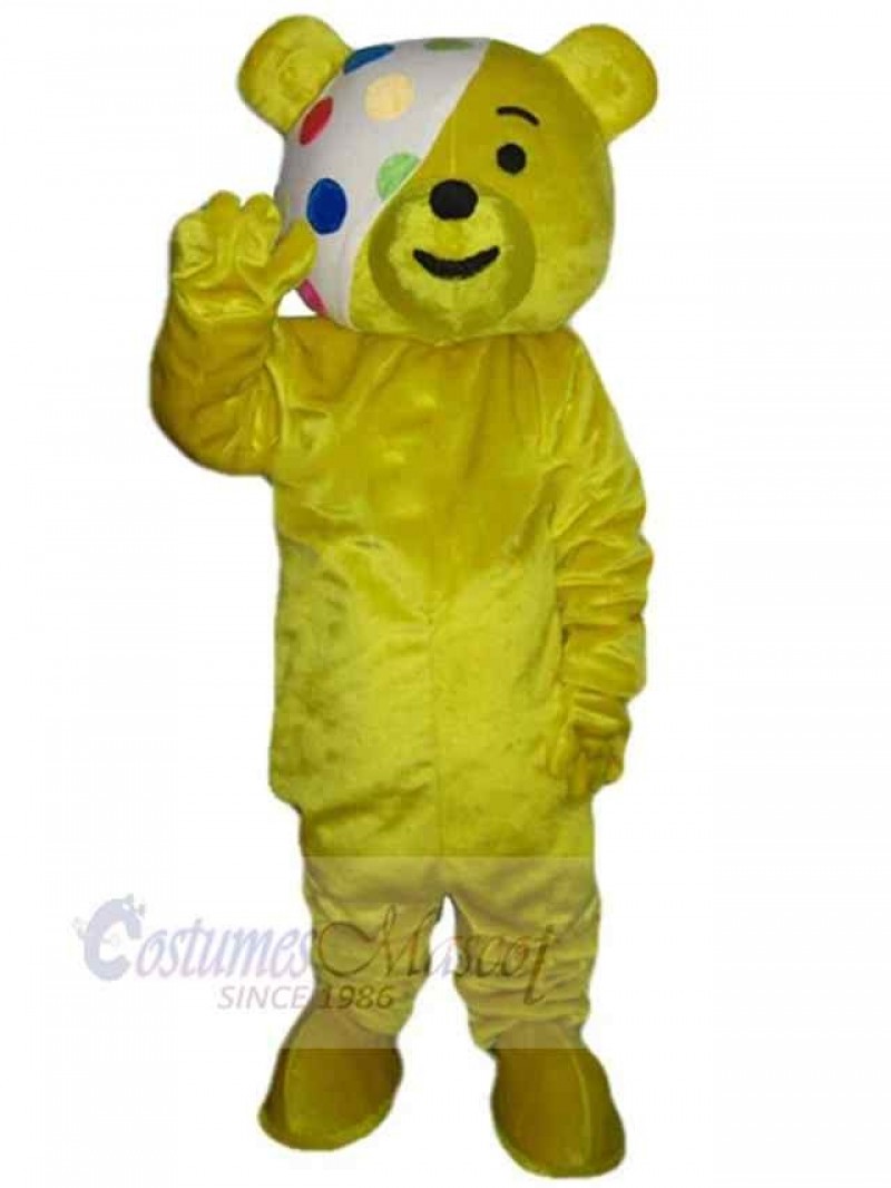 Bear mascot costume