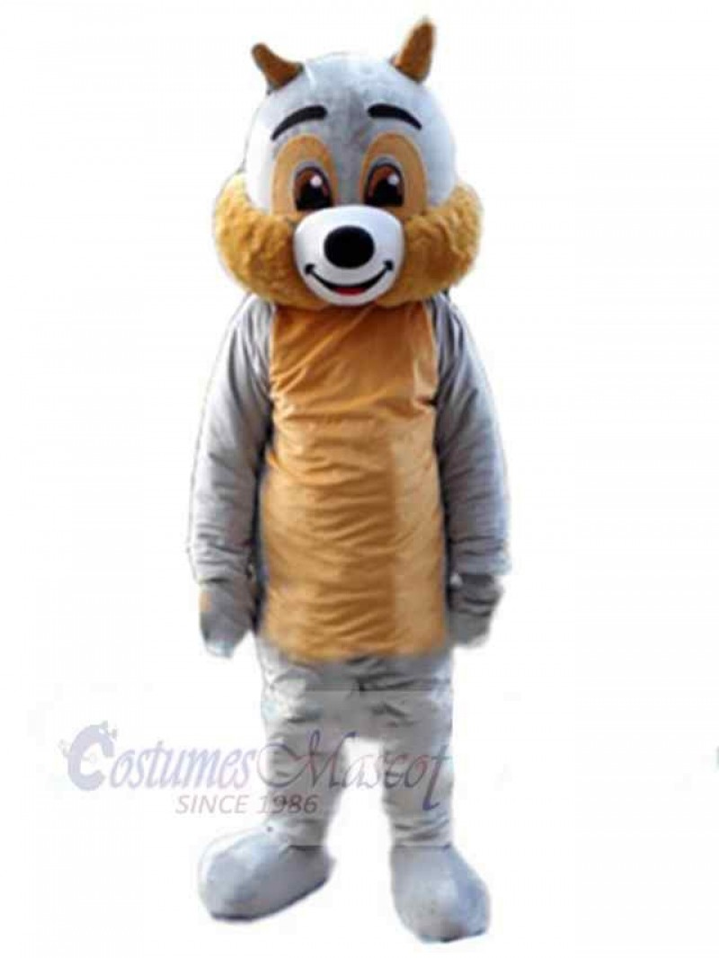 Squirrel mascot costume