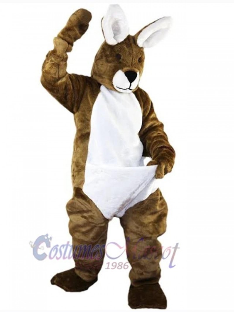 Easter Bunny Rabbit mascot costume