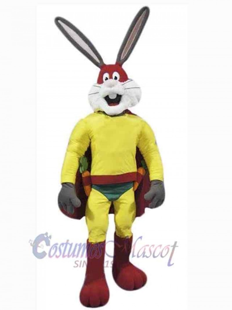 Easter Bunny Rabbit mascot costume