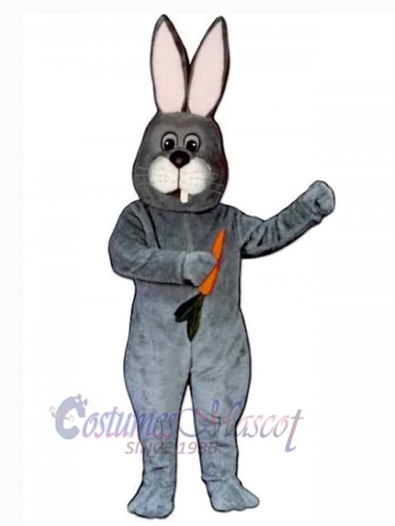 Easter Bunny Rabbit mascot costume