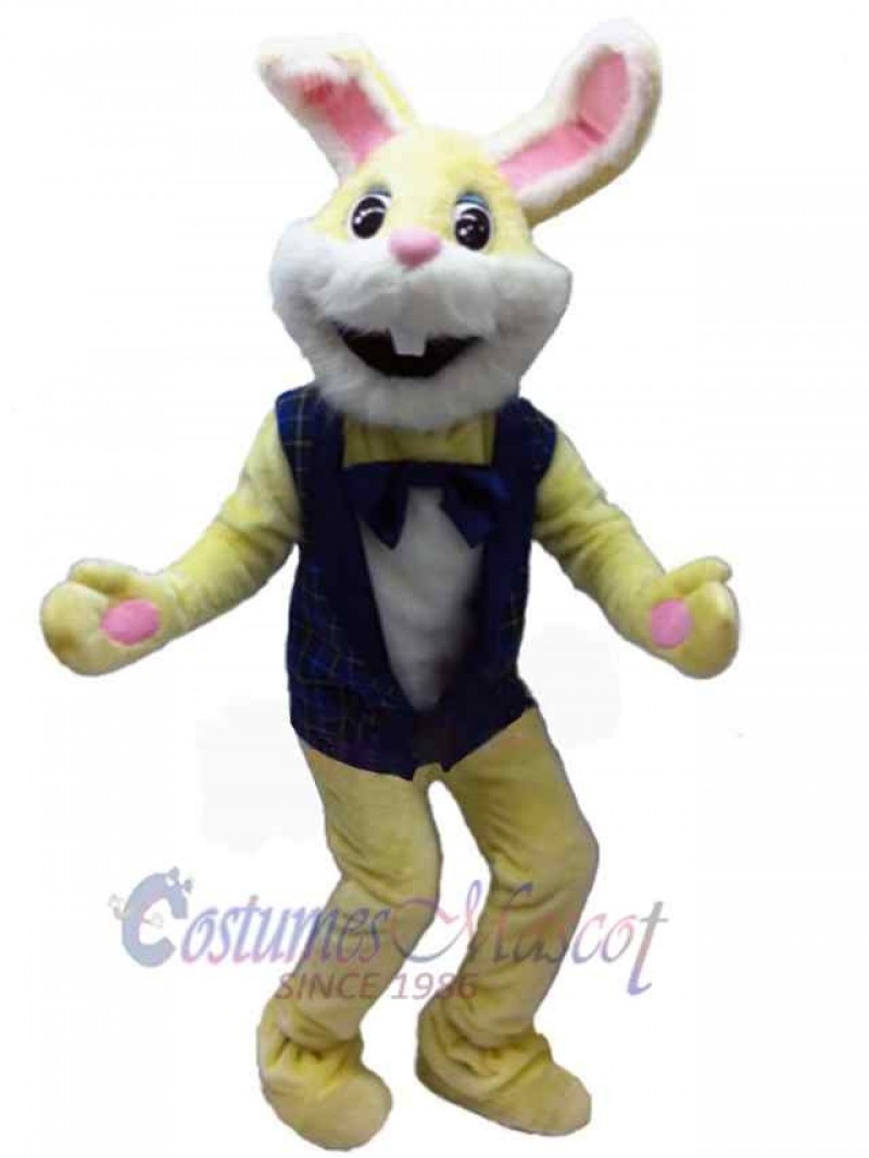 Easter Bunny Rabbit mascot costume
