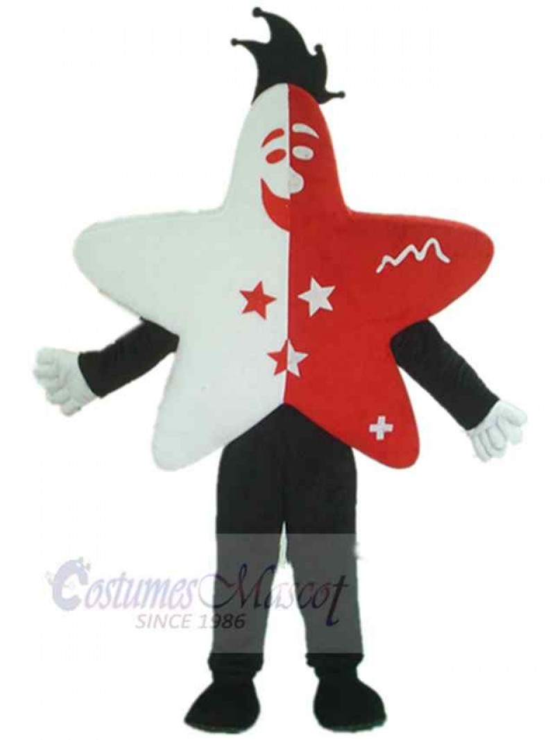 Star mascot costume