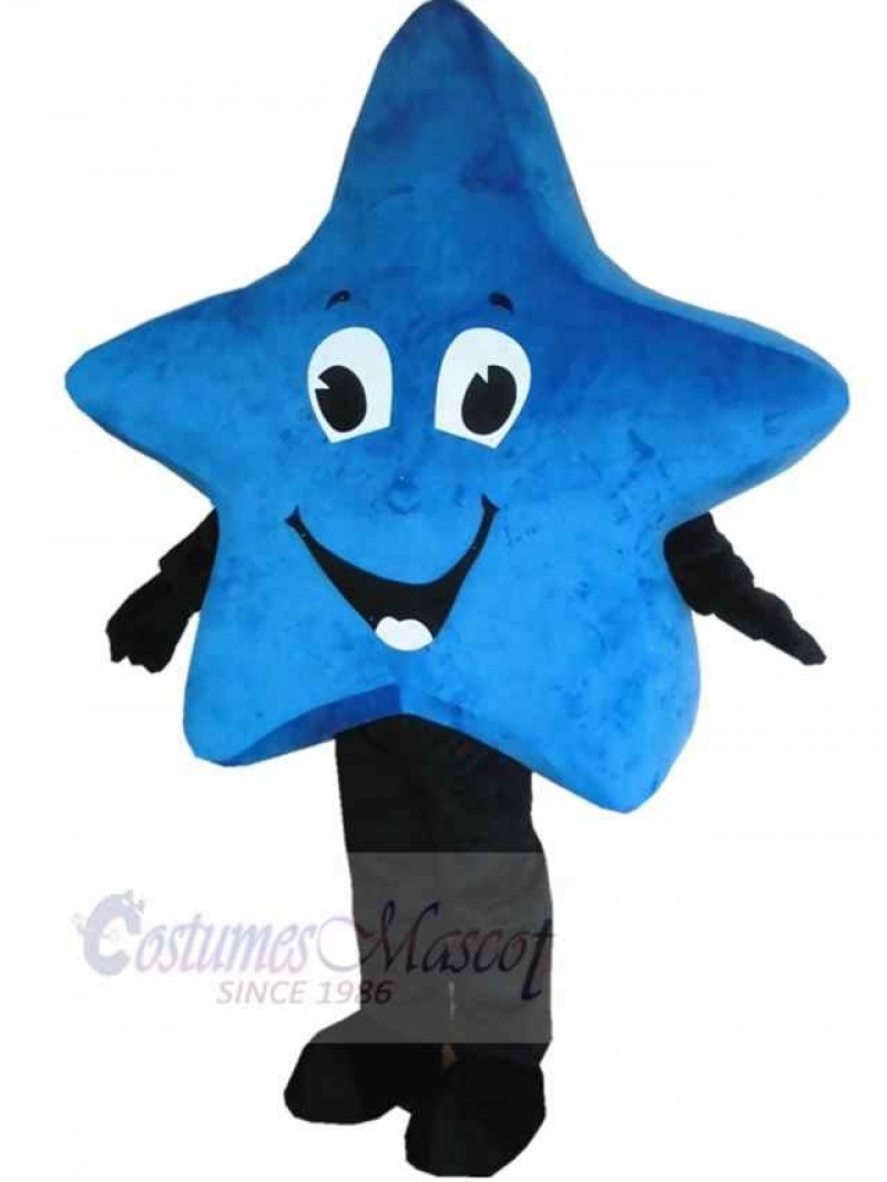 Star mascot costume