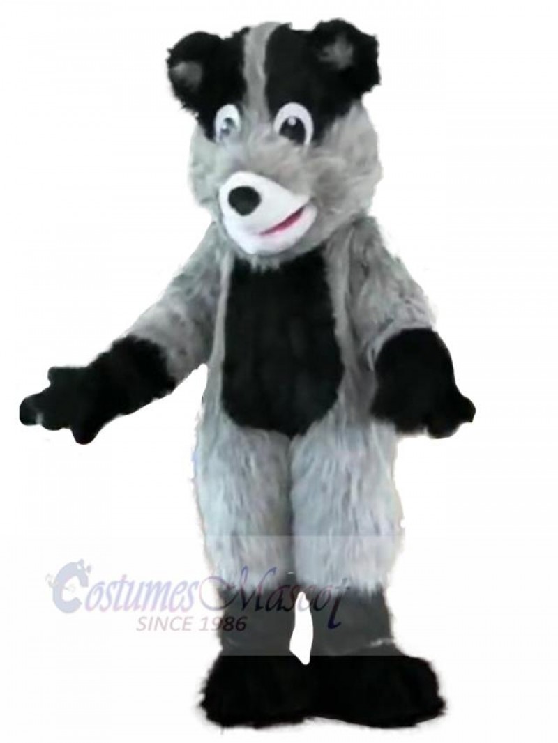 Bear mascot costume