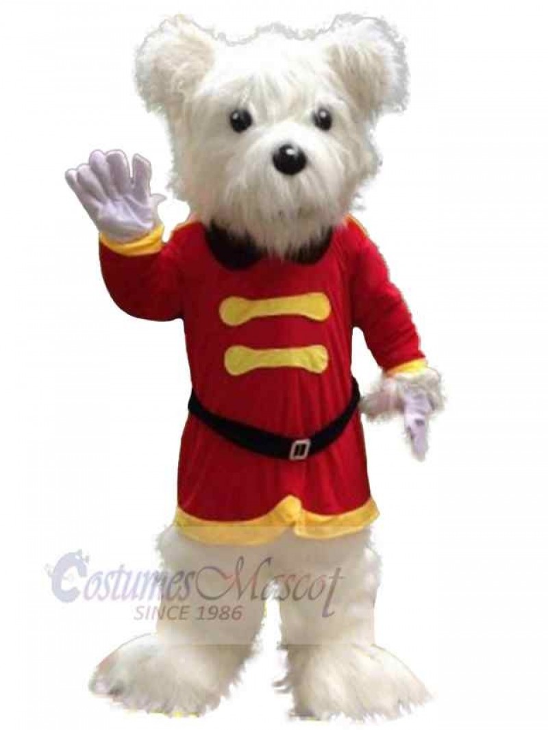 Bear mascot costume