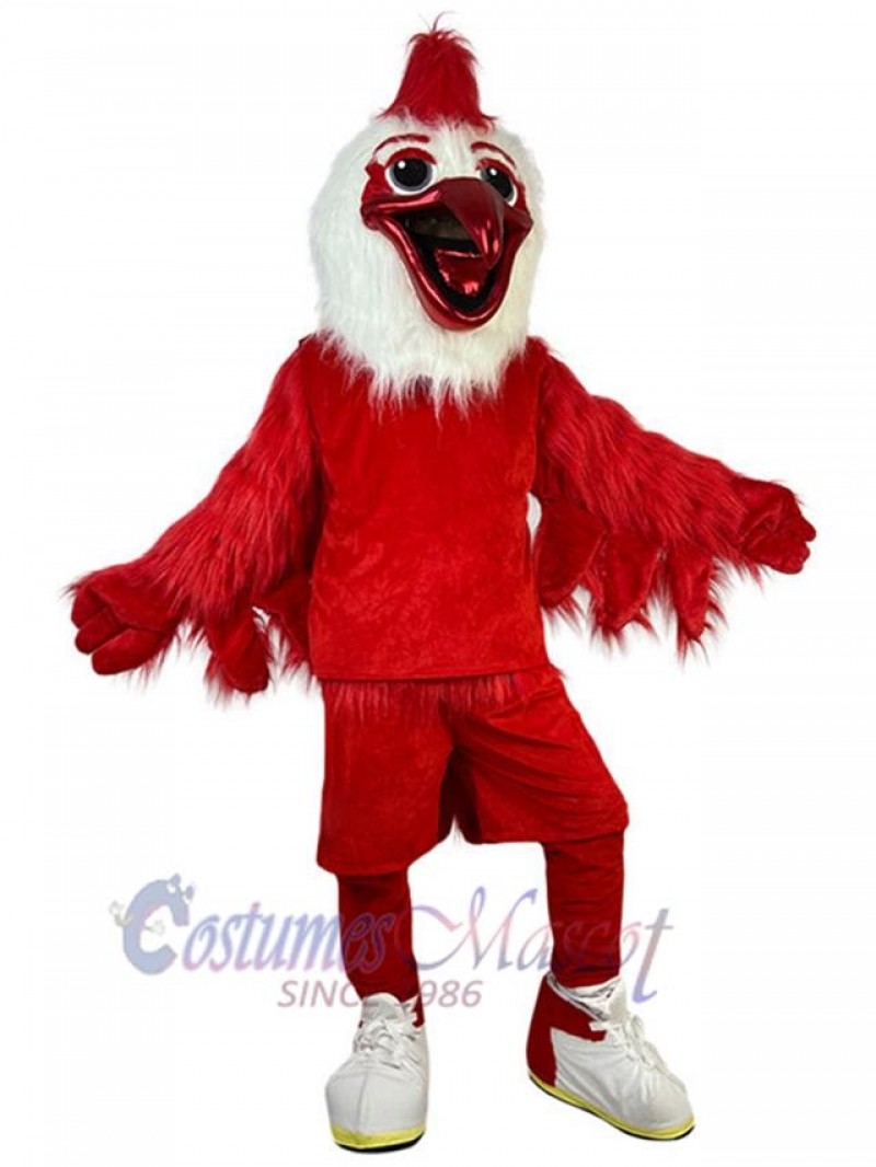Bird mascot costume