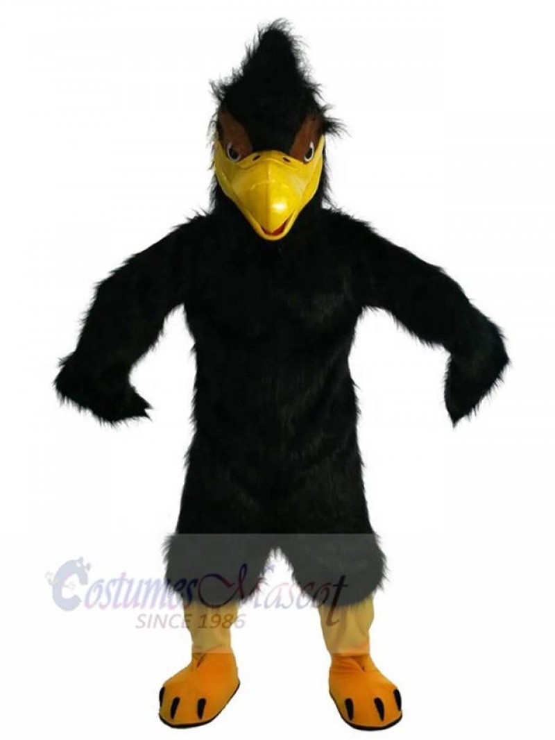 Eagle Hawk mascot costume