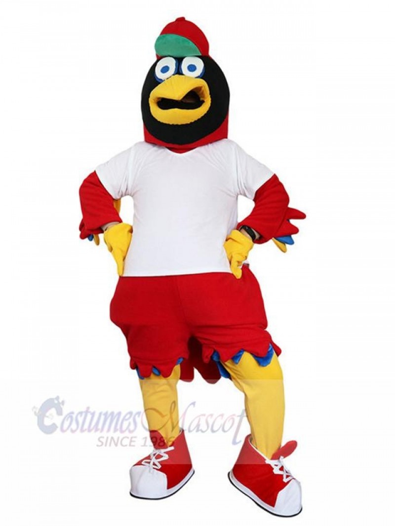 Eagle Hawk mascot costume