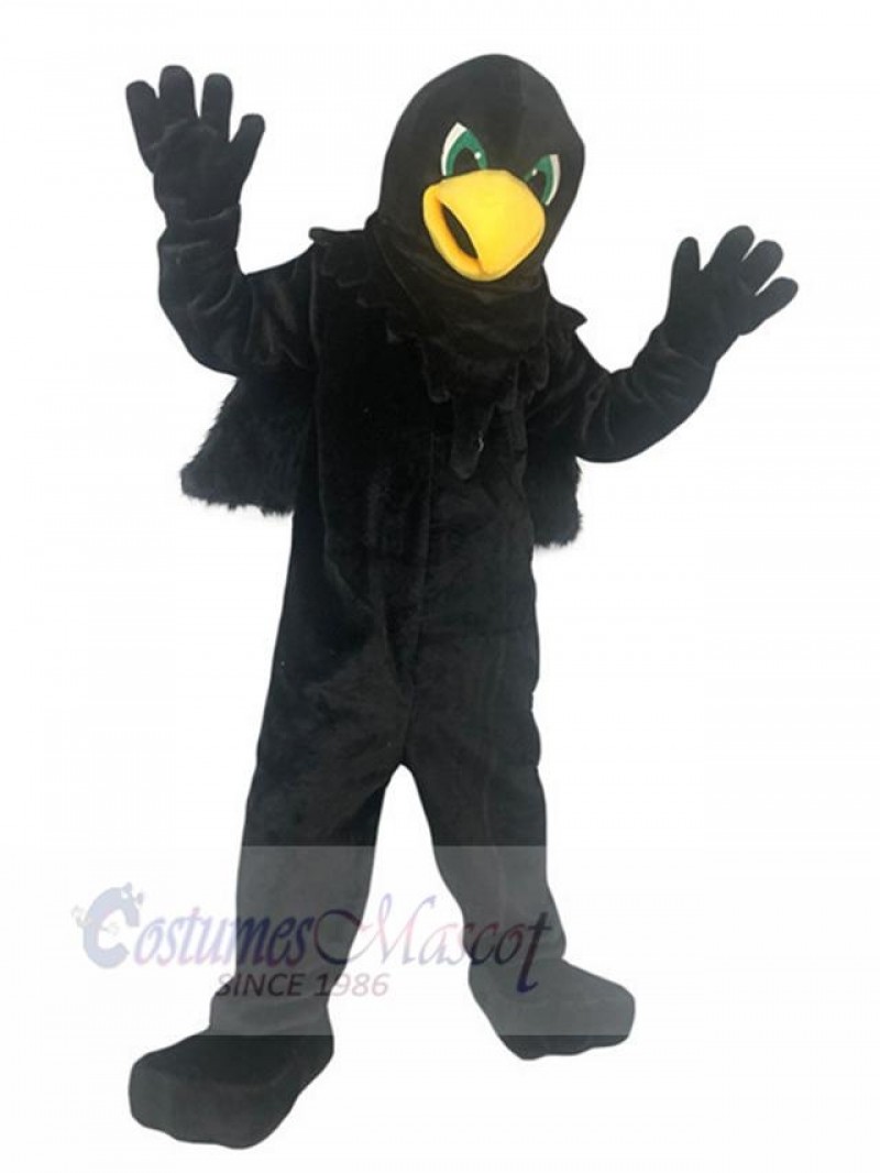 Eagle Hawk mascot costume