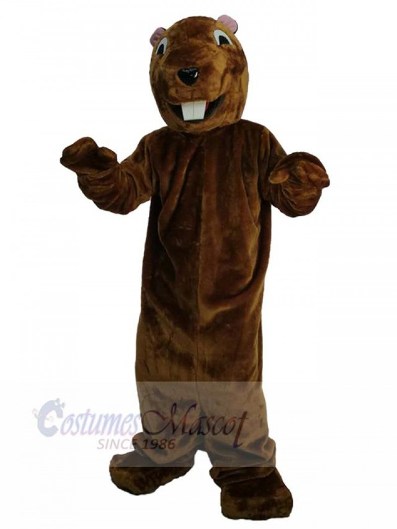 Groundhog mascot costume