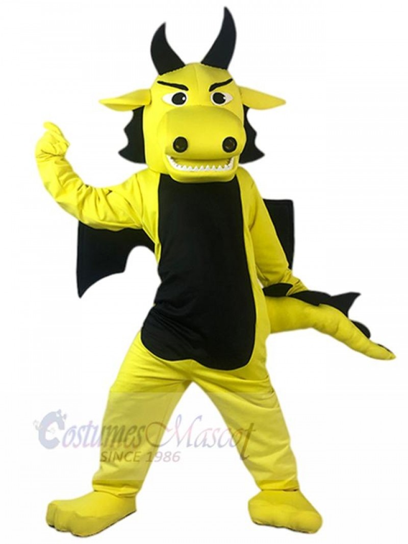 Dragon mascot costume