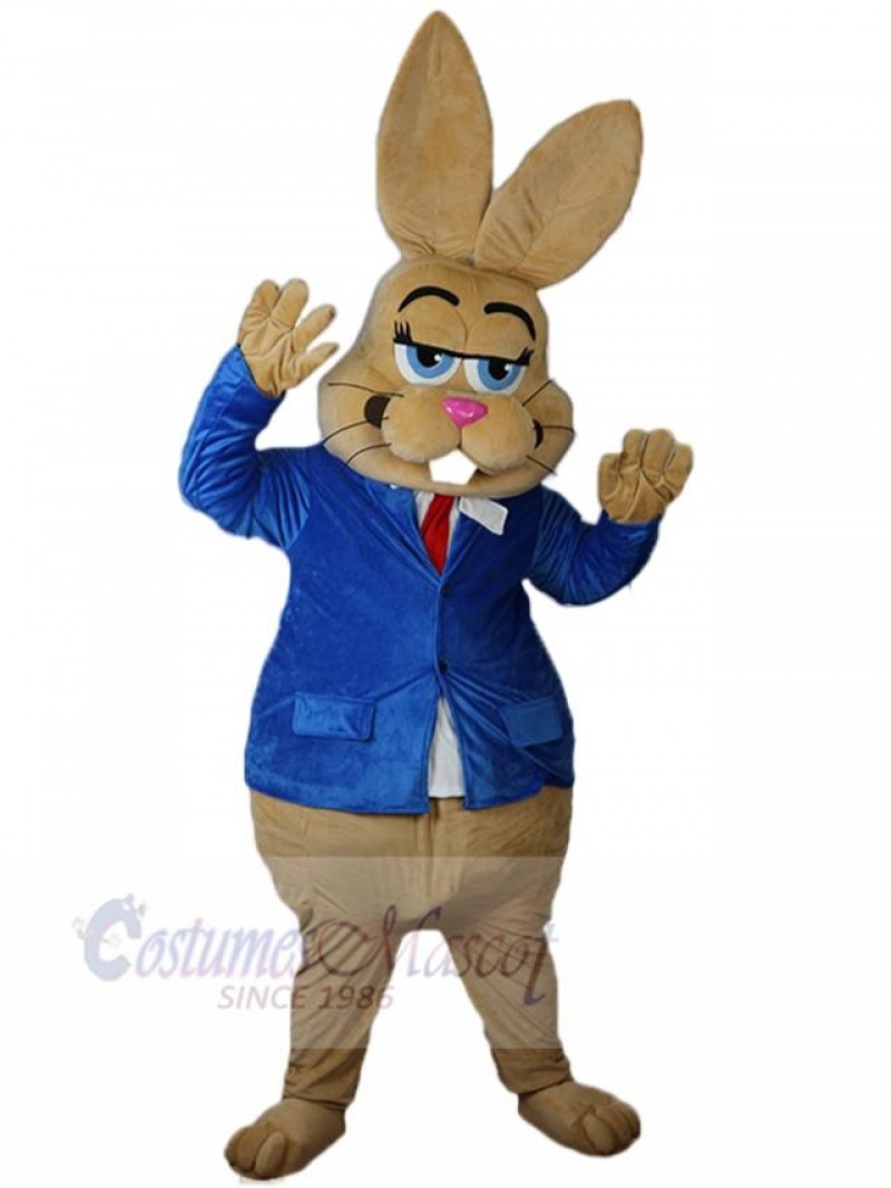 Bunny mascot costume