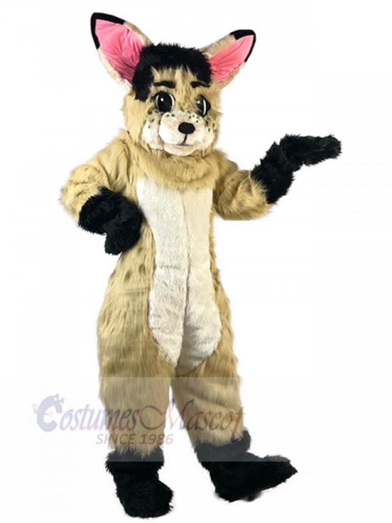 Rabbit mascot costume