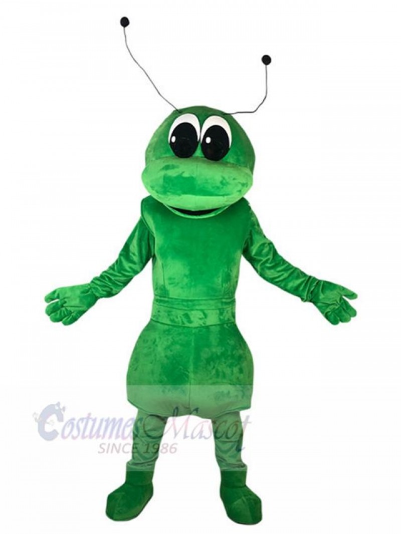 Ant mascot costume
