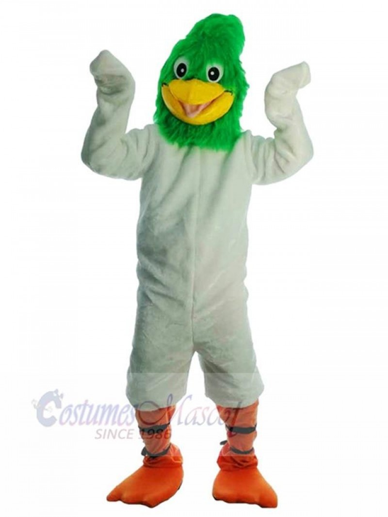 Bird mascot costume