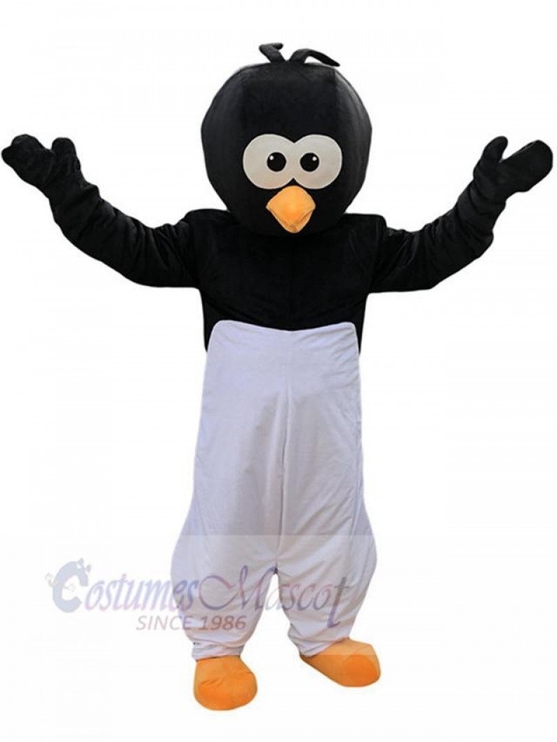 Crow Bird mascot costume