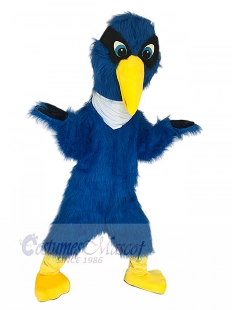 Bird mascot costume