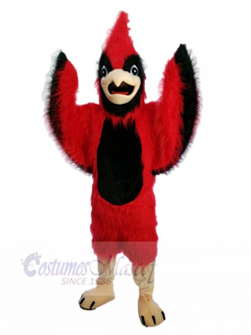 Bird mascot costume