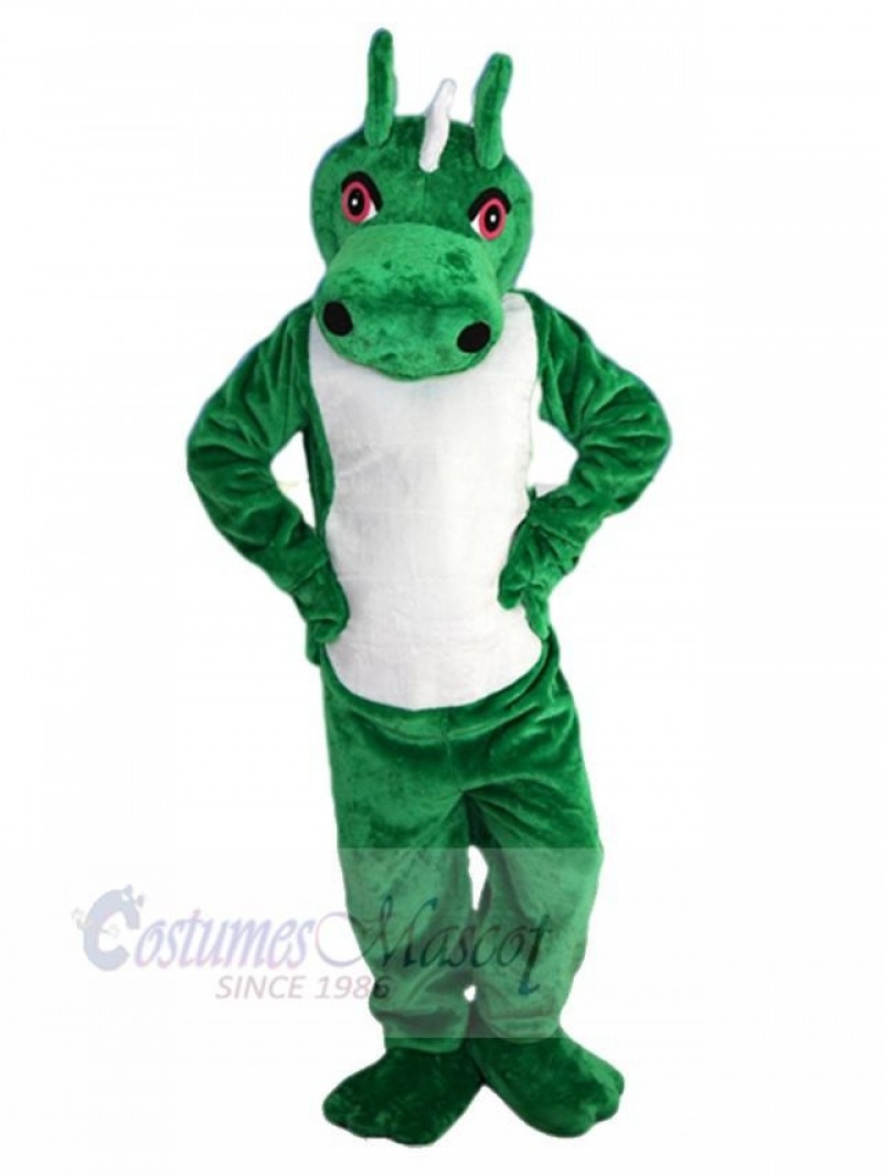 Dragon mascot costume