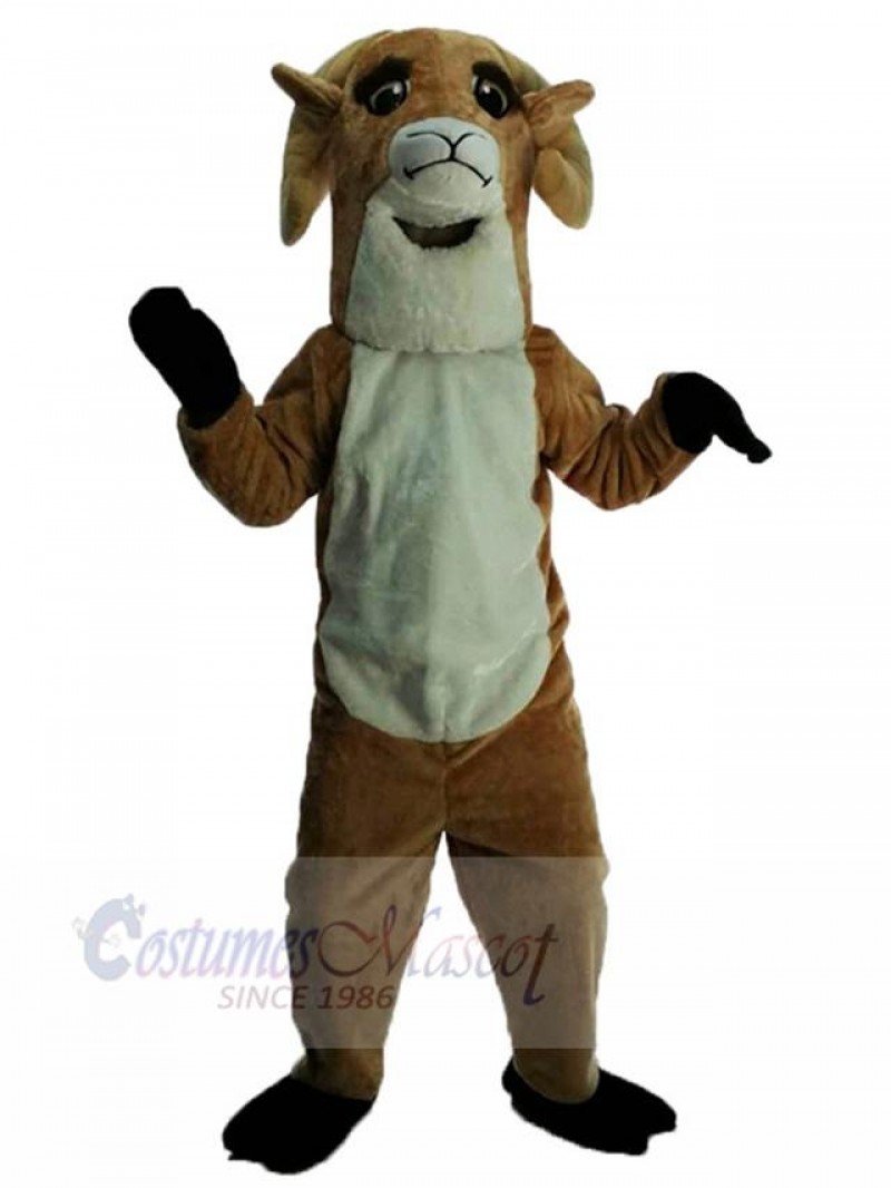 Sheep mascot costume