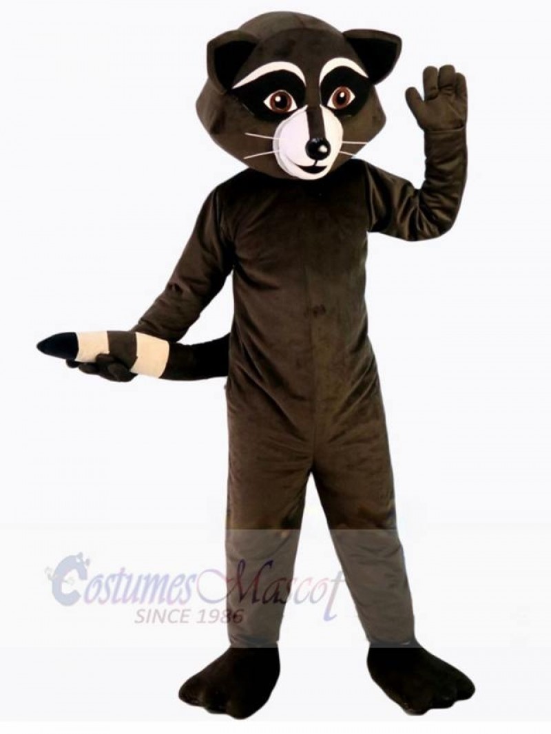 Raccoon mascot costume