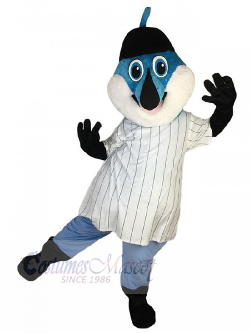 Dolphin mascot costume