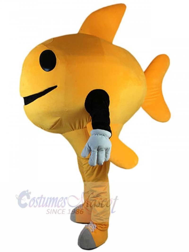 Fish mascot costume