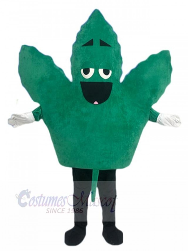 Leaf mascot costume