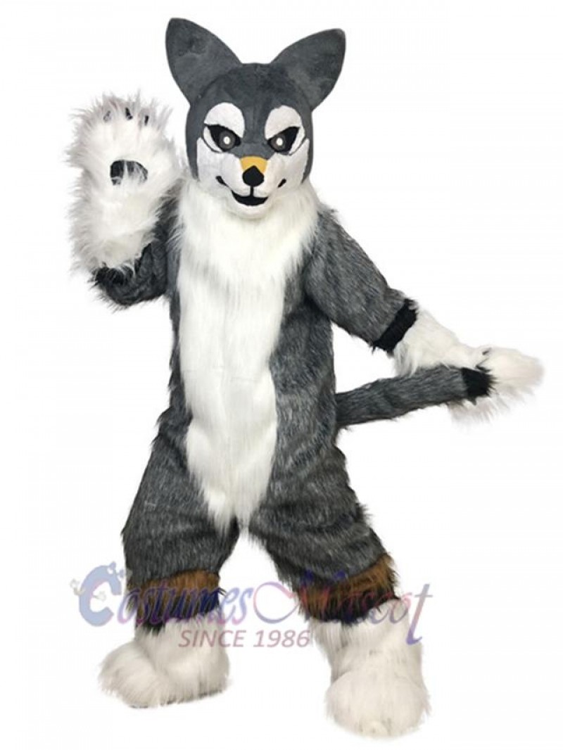 Dog mascot costume