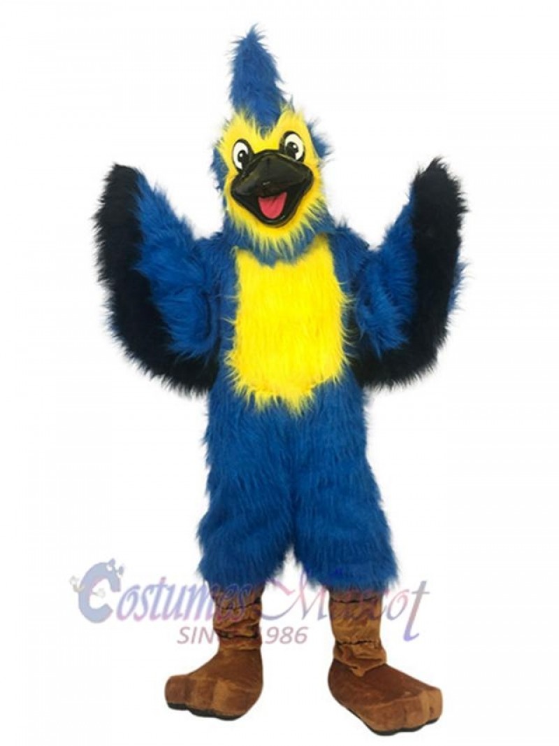 Eagle mascot costume