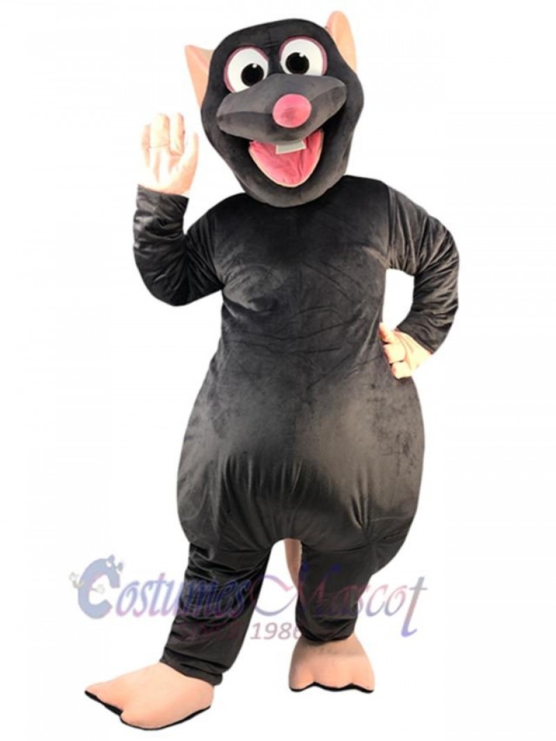 Rat Mouse mascot costume