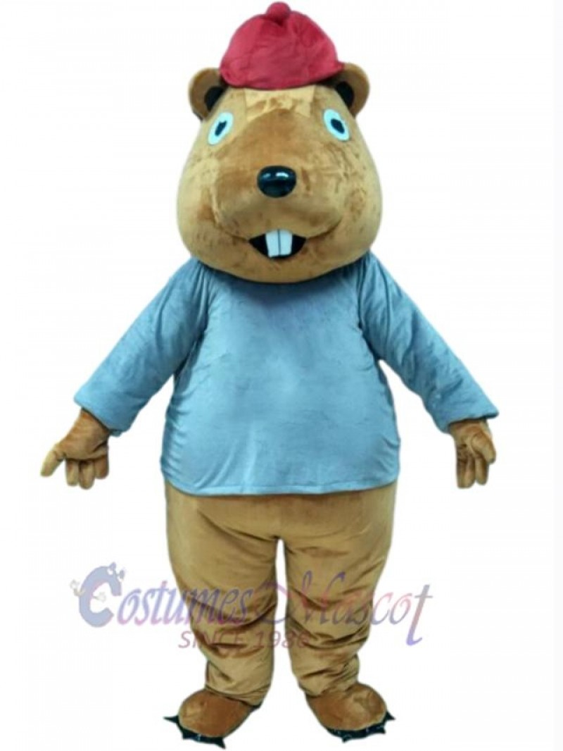 Beaver mascot costume