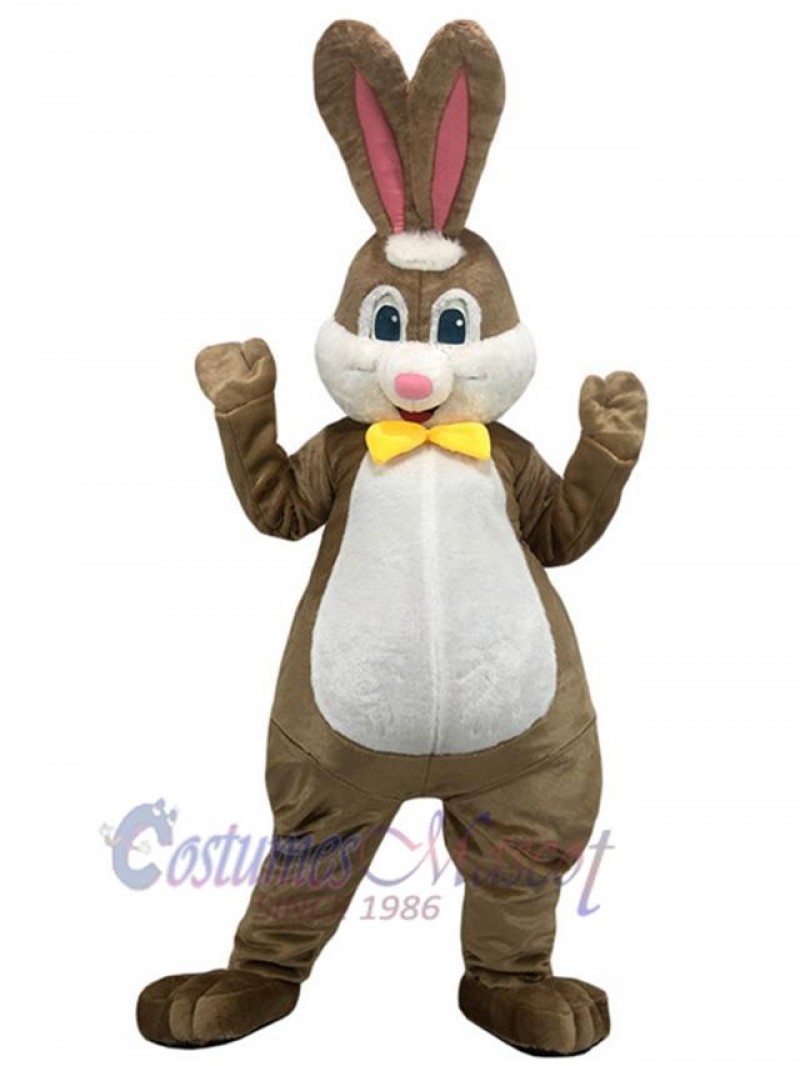 Rabbit mascot costume