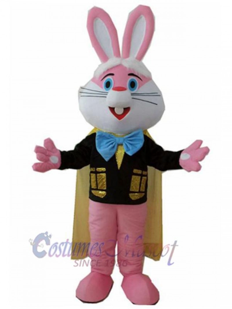 Rabbit mascot costume