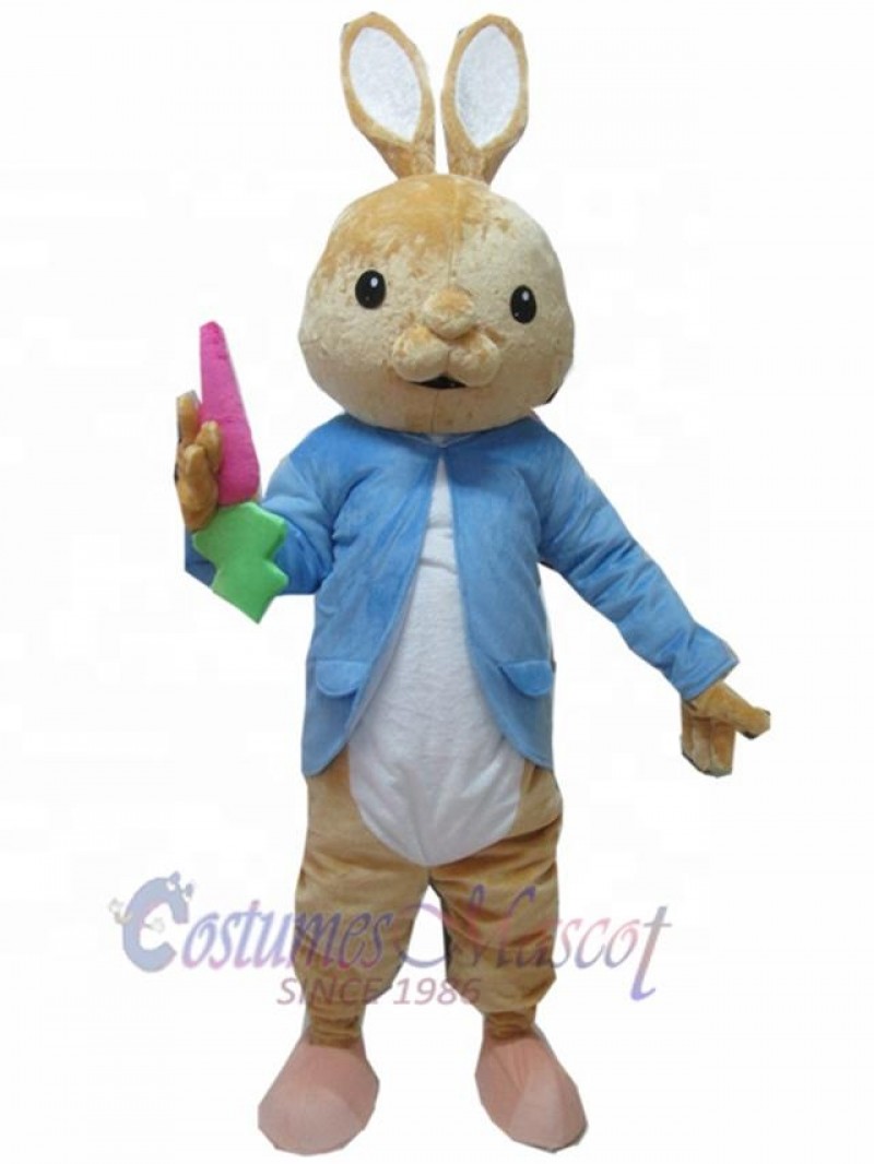 Rabbit mascot costume