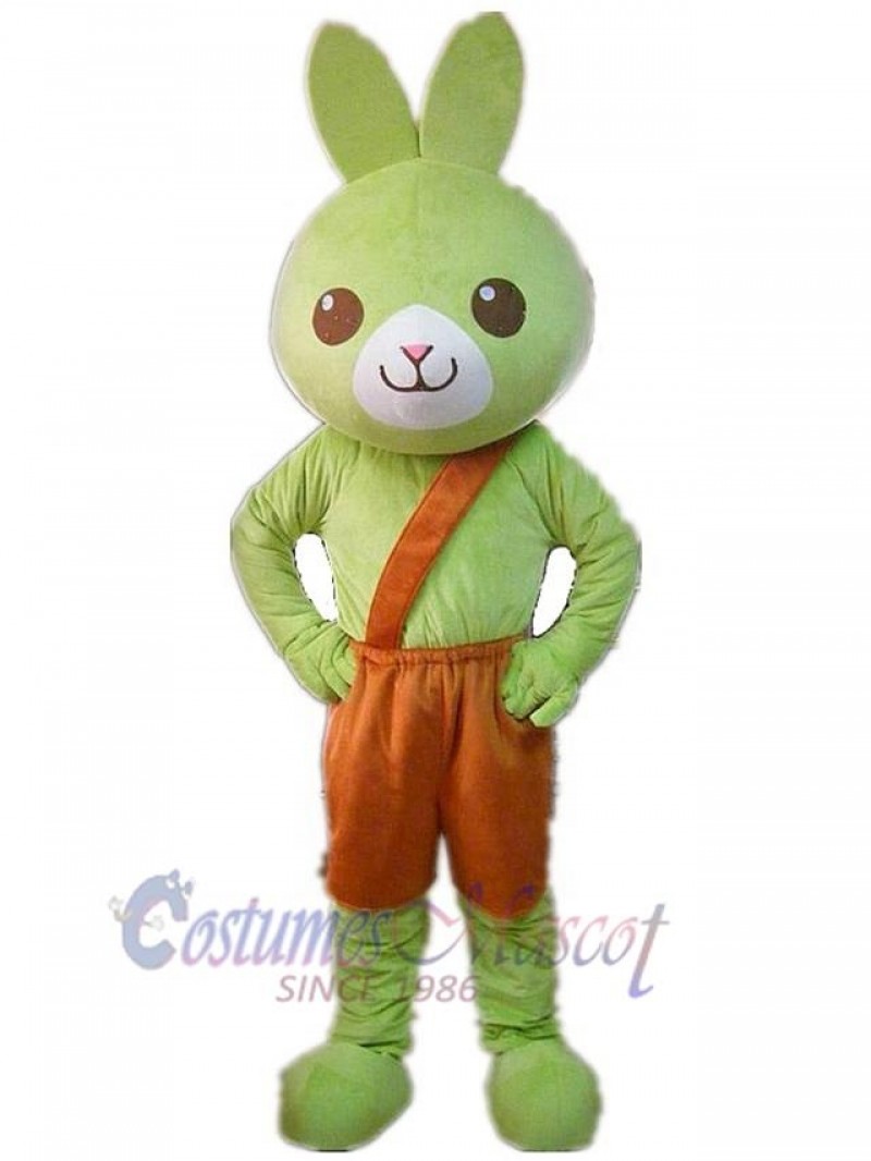 Rabbit mascot costume