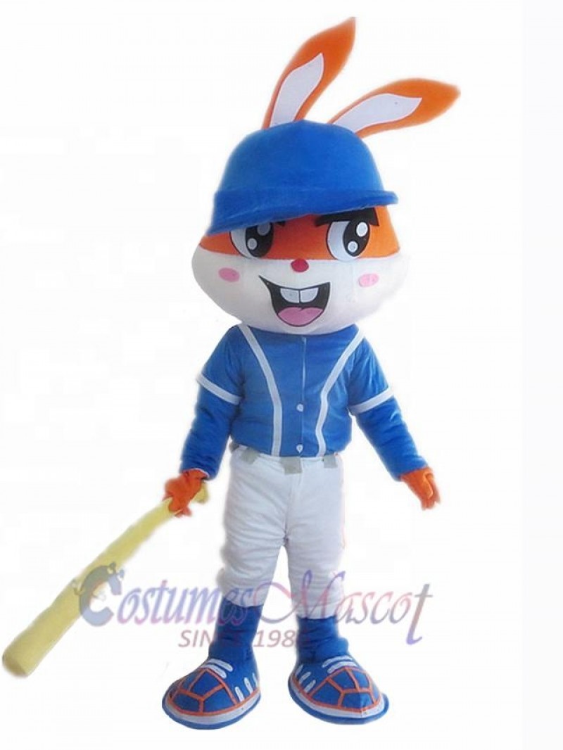 Rabbit mascot costume