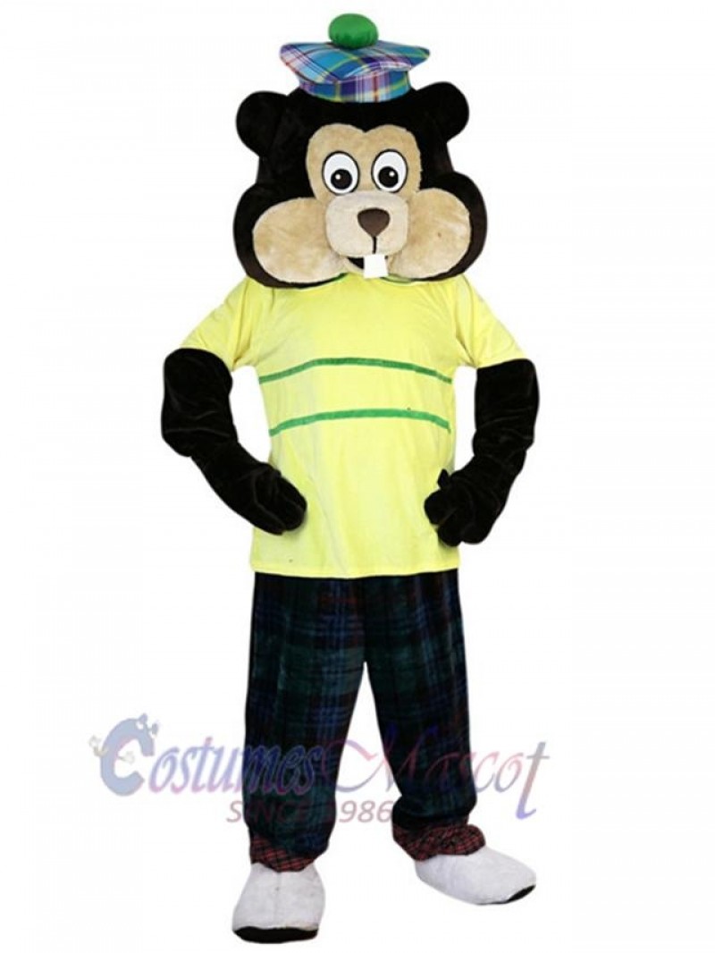 Gopher mascot costume