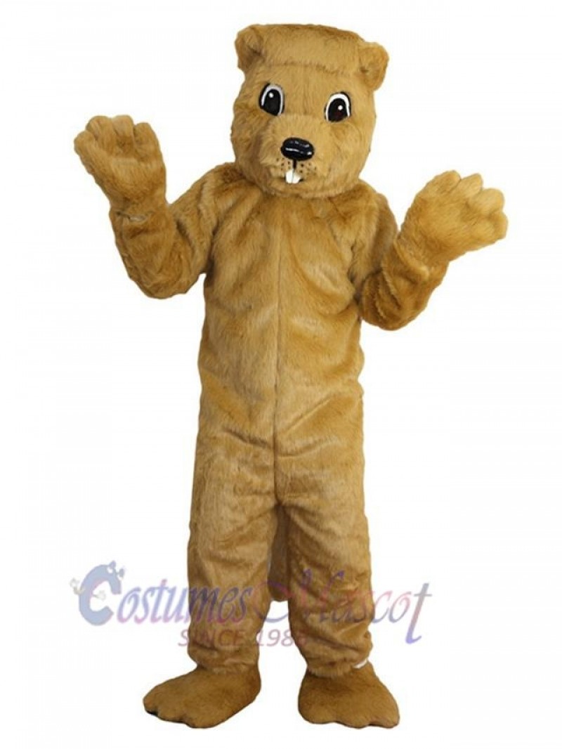 Gopher mascot costume