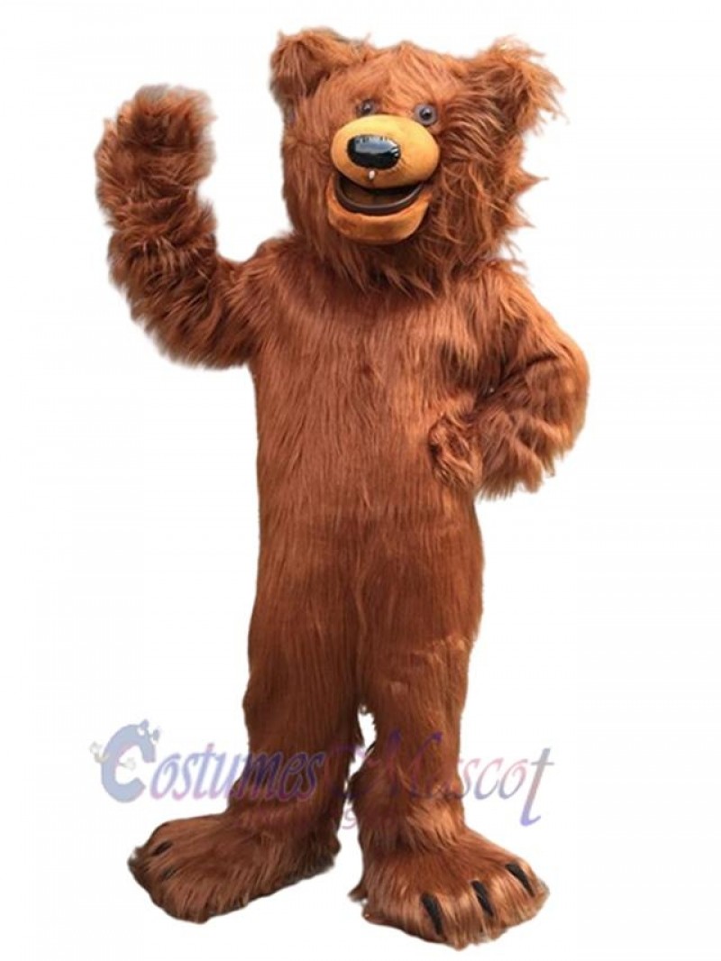 Bear mascot costume