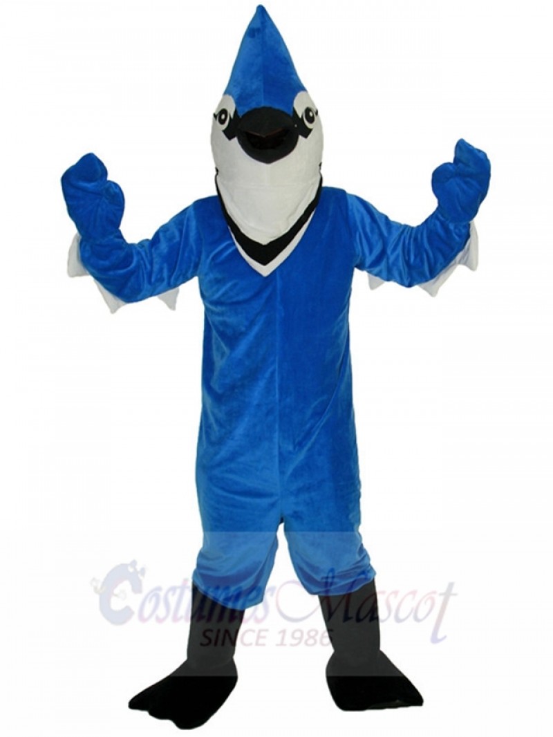 bird mascot costume