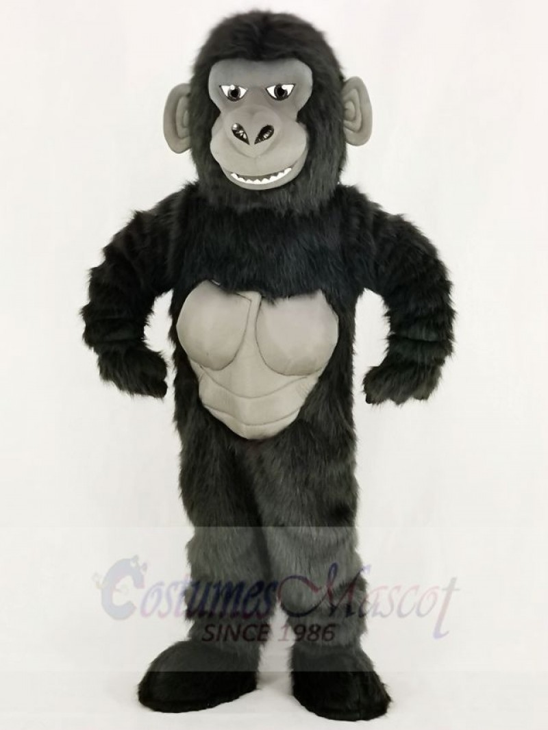 Funny Gorilla Mascot Costume College	