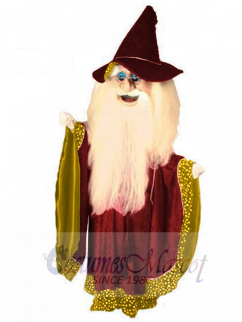 Merlin Wizard mascot costume